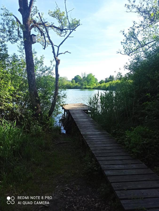 Neue Ferienwohnung In Illmensee Ruschweiler Zewnętrze zdjęcie
